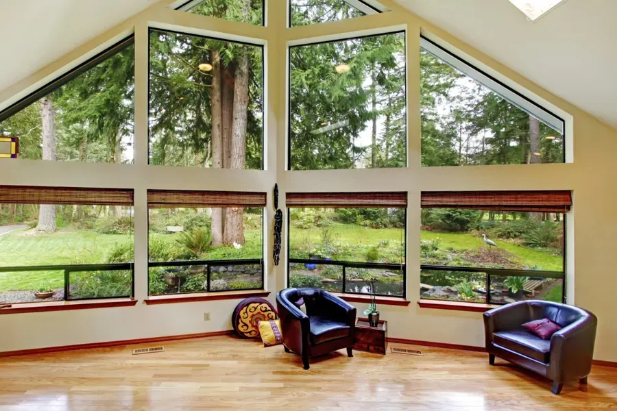 Windows Cleaning